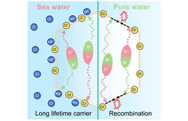 Poly (triazine imide) single crystals with chlorine-terminated facets enable chlorine-tolerant photocatalytic seawater splitting 2026.100973